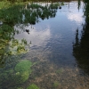 eng-Bibury-36.jpg
