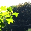 eng-Bibury-41.jpg