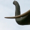eng-London-1.jpg