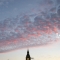 eng-London2-185.jpg