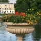 eng-Kew-2.jpg