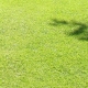 eng-HIdcote-11.jpg