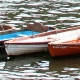 eng-Hampton-3.jpg