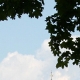 eng-Hampton-7.jpg