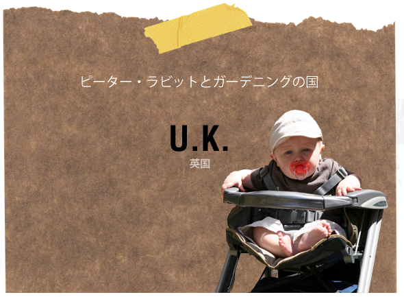 eng_card2.png