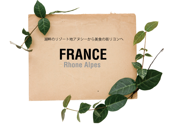 fr_card3.png
