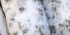 fr-annecy-30.jpg