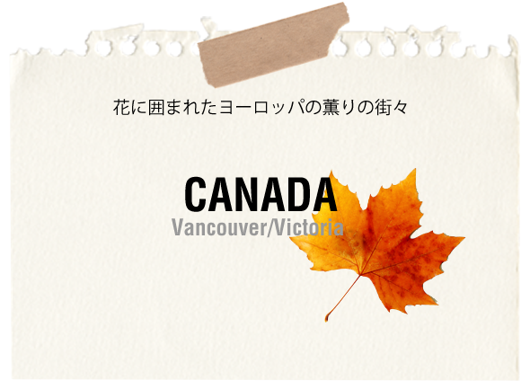 canada_card2.png