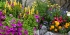fr-Aix-les-bains-02.jpg