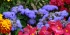 fr-Aix-les-bains-05.jpg