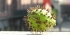 fr-Chambery-13.jpg