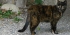 fr-Chambery-25.jpg