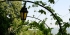 fr-Chambery-27.jpg