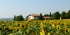 fr-Vienne-09.jpg