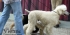 fr-Vienne-24.jpg