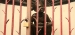 Beigi-bruxell-108.jpg