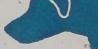 sanpo-031.jpg