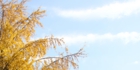 sanpo-037.jpg