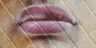 sanpo-048.jpg