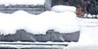 sanpo-065.jpg