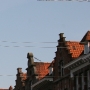 Beigi-Tournai-01.jpg