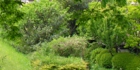 sanpo-073.jpg
