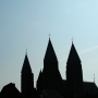 Beigi-Tournai-10.jpg