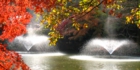 sanpo-093.jpg