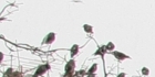 sanpo-111.jpg