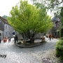 Beigi-Durbuy-23.jpg