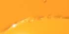 sanpo-118.jpg