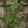 Beigi-Durbuy-34.jpg