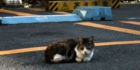 sanpo-138.jpg
