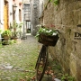 Beigi-Durbuy-52.jpg