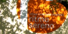 sanpo-157.jpg