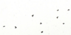 sanpo-169.jpg