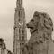 Beigi-Antwerpen-41.jpg