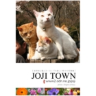 cats-1.jpg