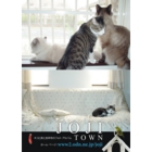 catsチラシ.jpg