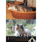 catsチラシ2.jpg