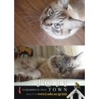 catsチラシ3.jpg