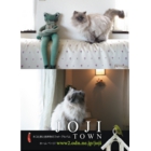 catsチラシ7.jpg