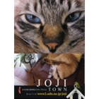 catsチラシ8.jpg