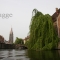 Beigi-Brugge-22.jpg