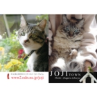 catsチラシ16.jpg