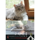 catsチラシ21.jpg