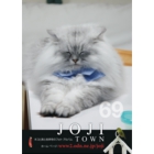 catsチラシ22.jpg