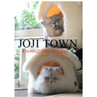 catsチラシ27.jpg