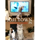 catsチラシ31.jpg