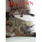 catsチラシ34.jpg